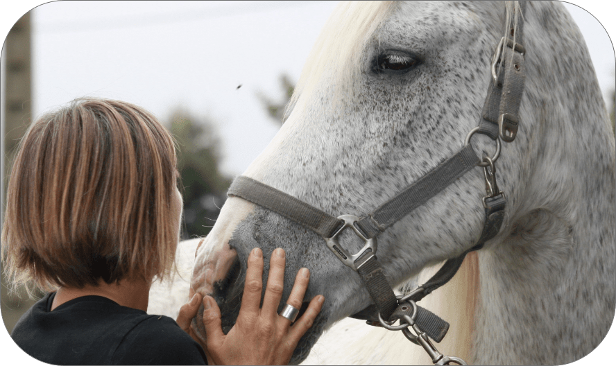 Anne Buchel avec un cheval