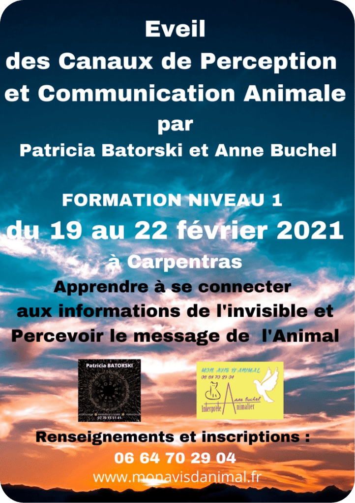 Affiche recto