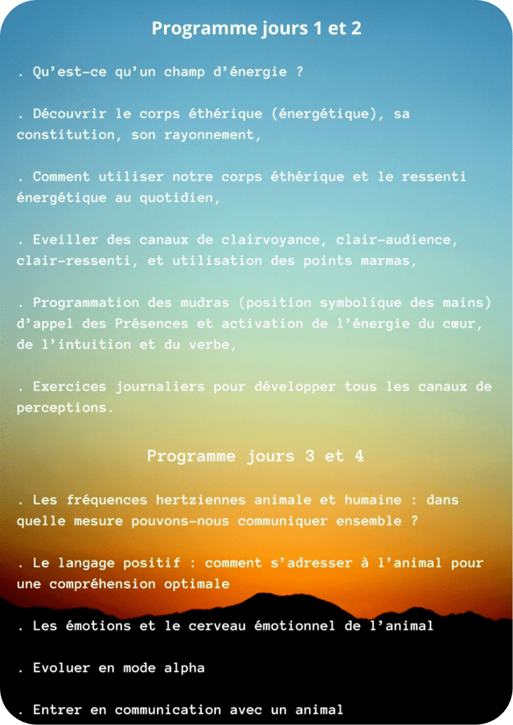 Affiche verso